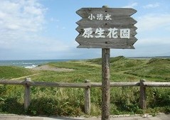 �����������ԉ�